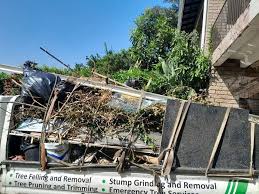 Best Attic Cleanout  in Crosby, ND